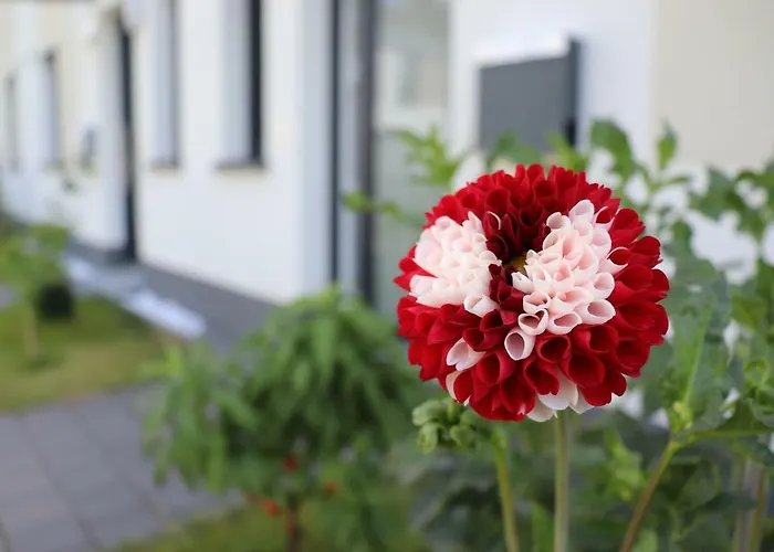 An Der Messe Проживание в семье Ганновер
